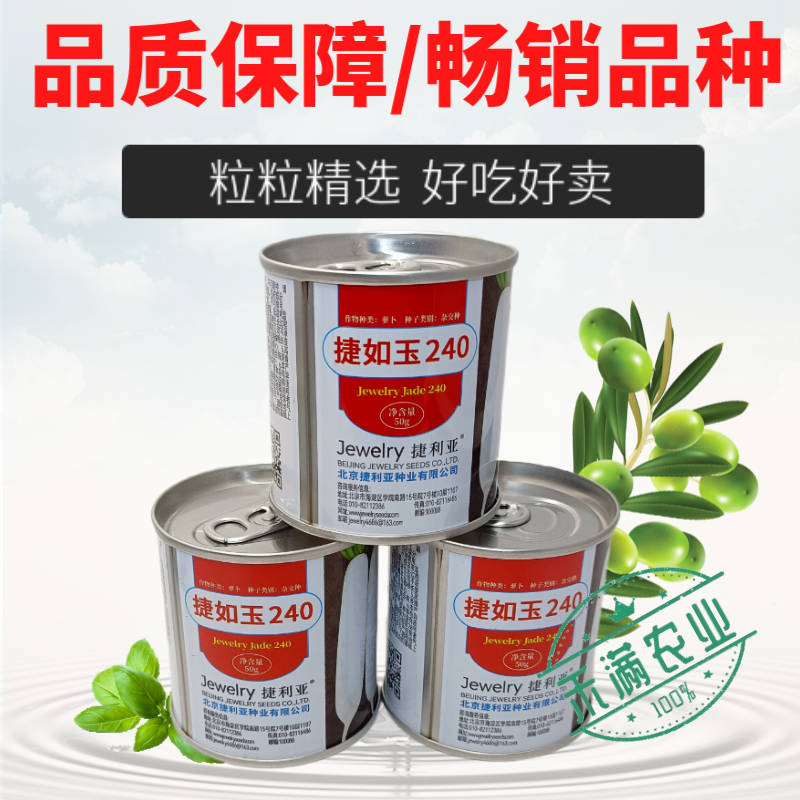 新品种白萝卜种子捷如玉240秋季种植条型好半板叶半花叶