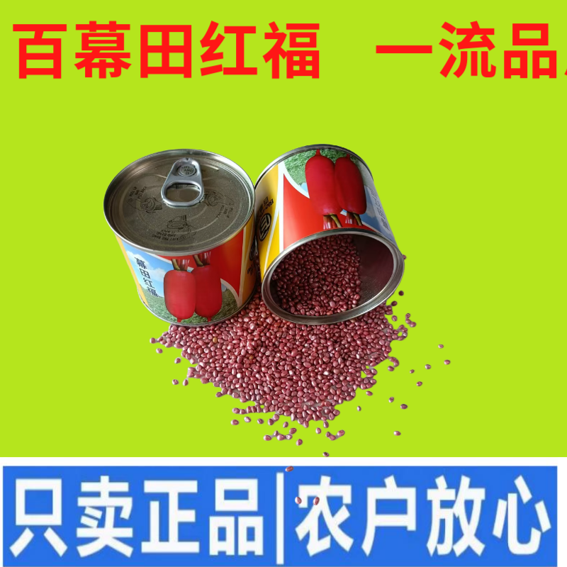 高端红皮白肉萝卜种子红萝卜种子水果萝卜种籽秋季高产大田优