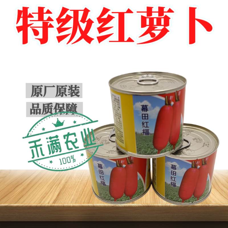 高端红皮白肉萝卜种子红萝卜种子水果萝卜种籽秋季高产大田优