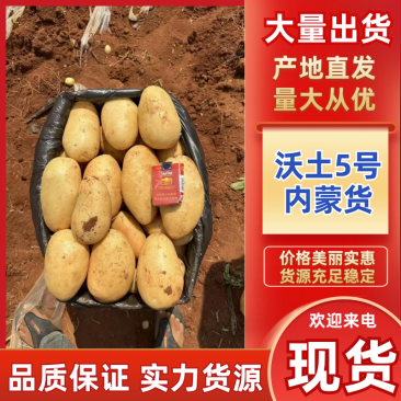 【老板好客】沃土5号全国发货质量保证