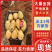 【老板好客】沃土5号全国发货质量保证