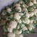河南青梗白庙松花菜自家货源可以现场挑货按要求分拣打包装车
