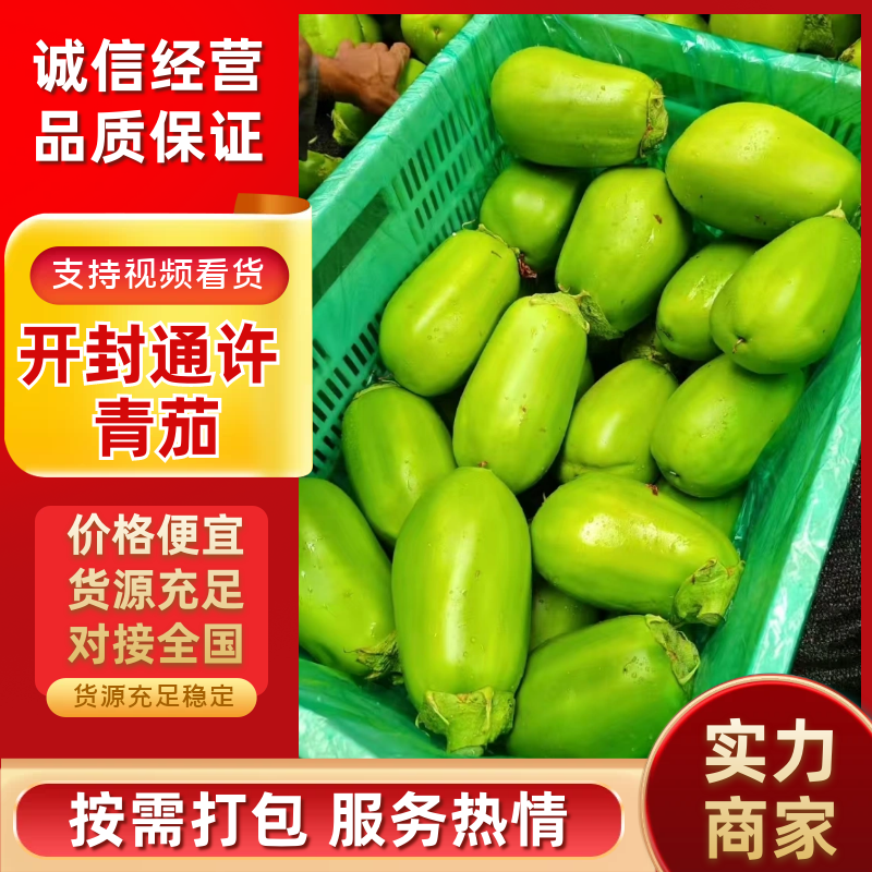 河南青茄现货供应有场地有工人有设备装货快接加工餐饮市场批发