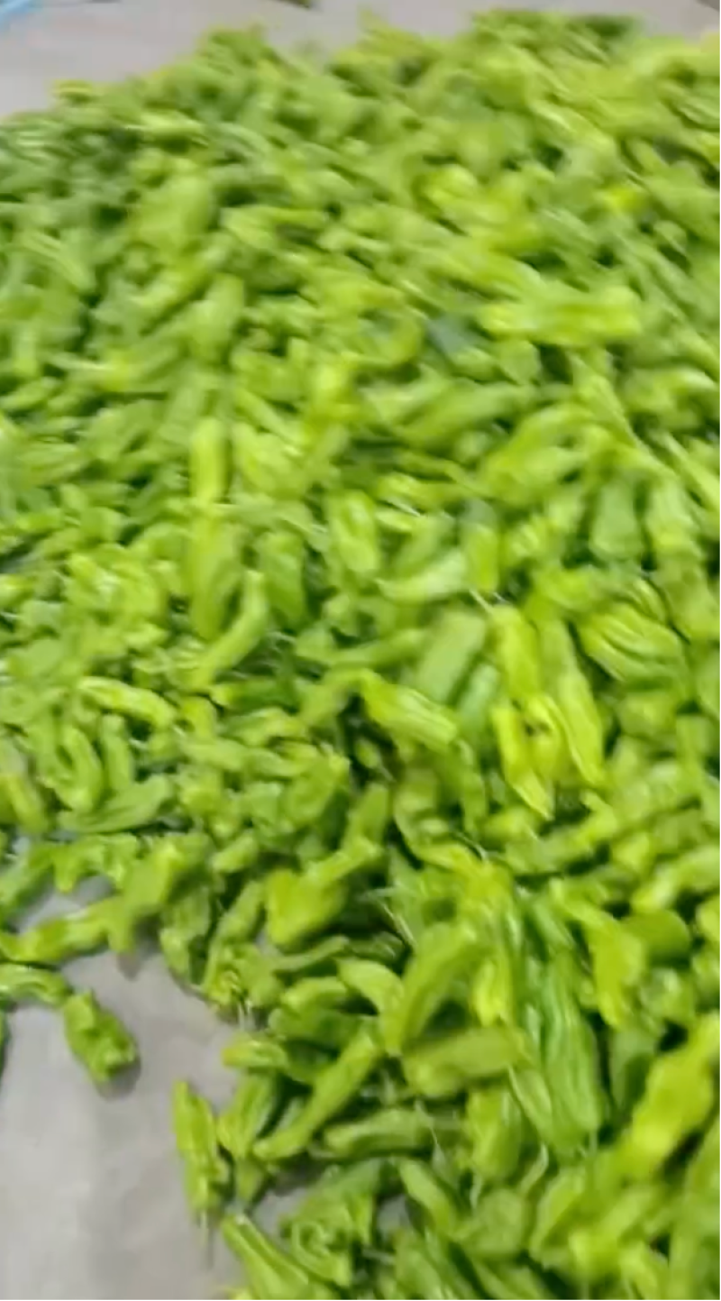 301辣椒青辣椒价格合理对接批发档口量大发货