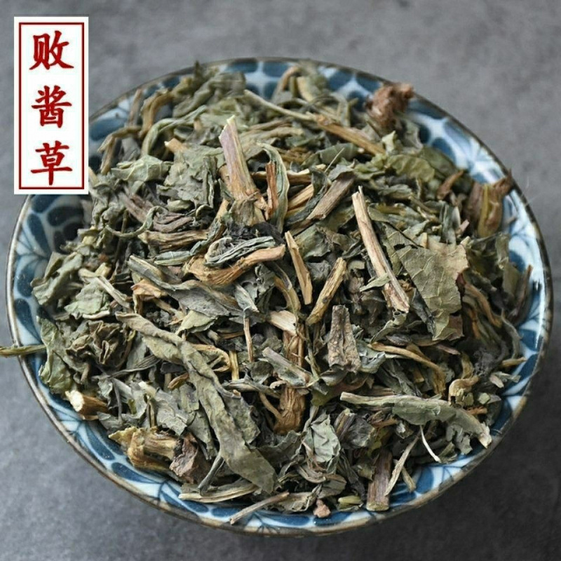 败酱草中药材黄花败酱草北败酱臭败将败将草败酱草大货批