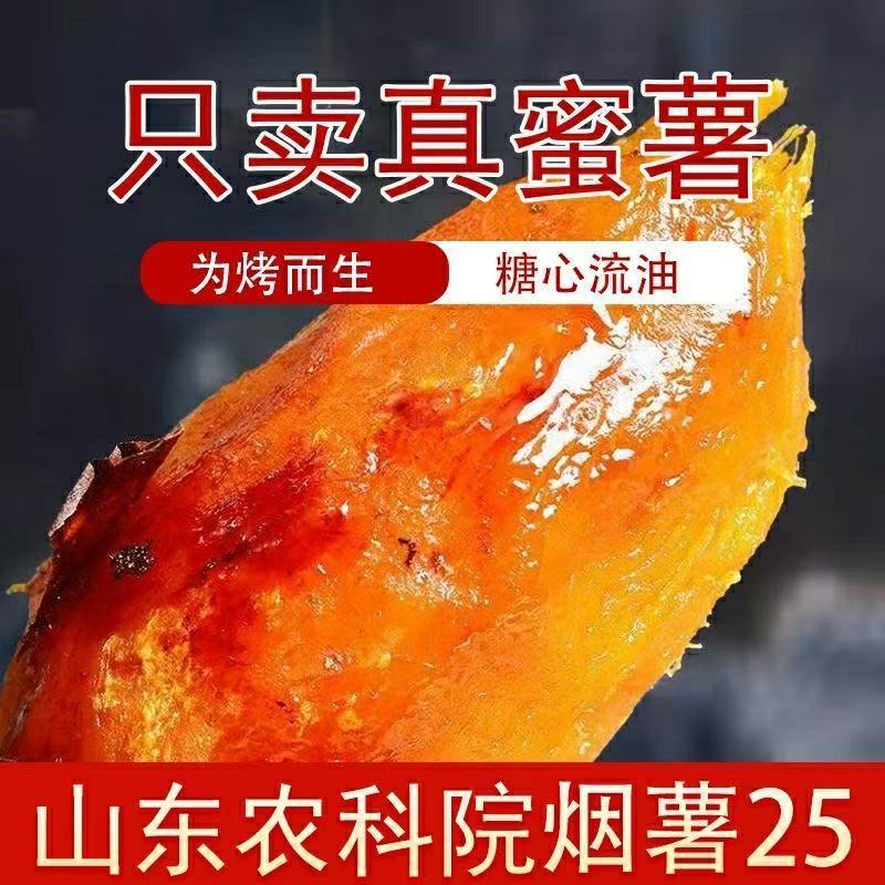 山东聊城红薯烟薯红薯流心蜜薯大量上市