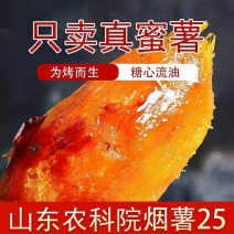 烟薯25全年供应，支持一件代发，量大从优，欢迎来电
