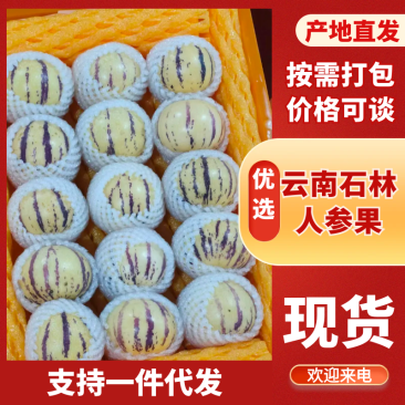 云南新鲜人参果现采现发新鲜度高对接电商支持一件代发