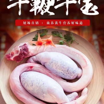 农家新鲜牛鞭现杀速冻黄牛鞭牛宝牛蛋整套包邮