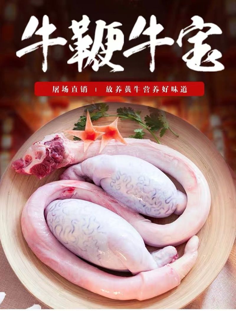 农家新鲜牛鞭现杀速冻黄牛鞭牛宝牛蛋整套包邮