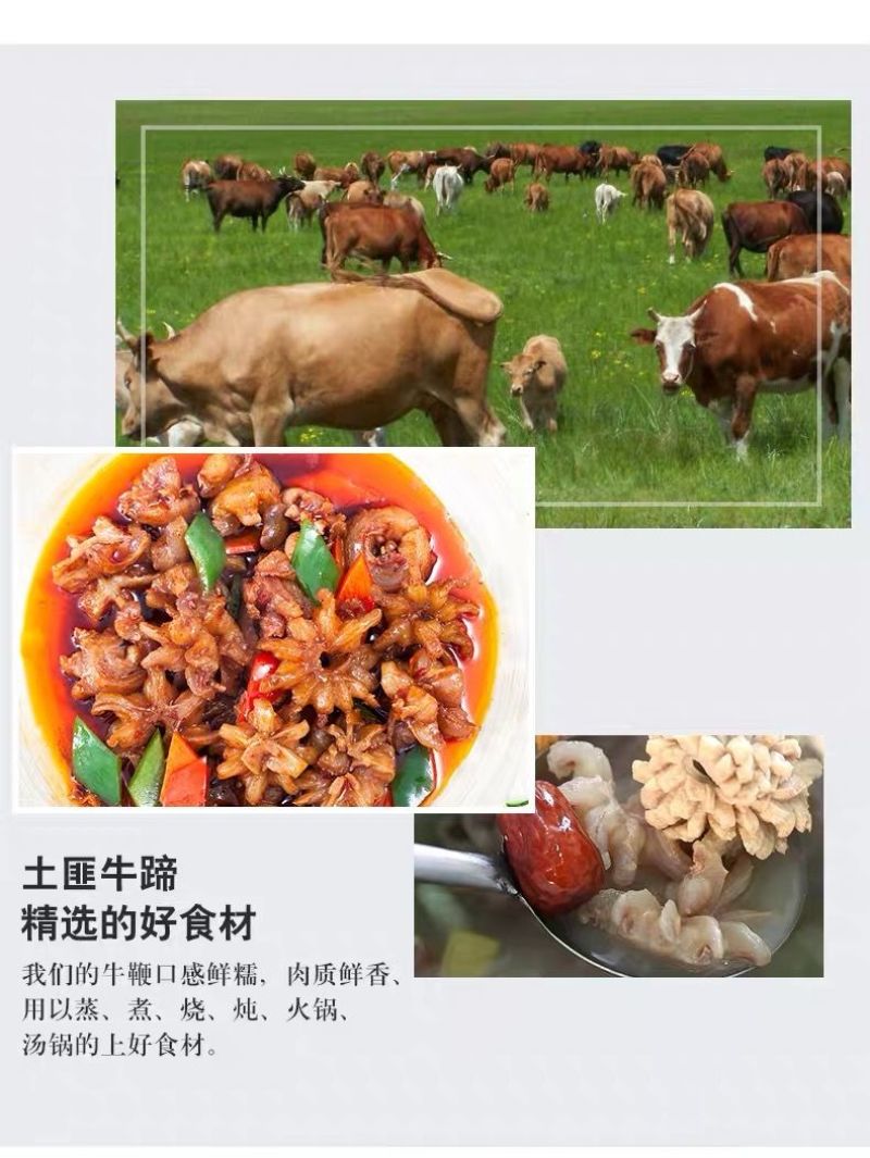 农家新鲜牛鞭现杀速冻黄牛鞭牛宝牛蛋整套包邮