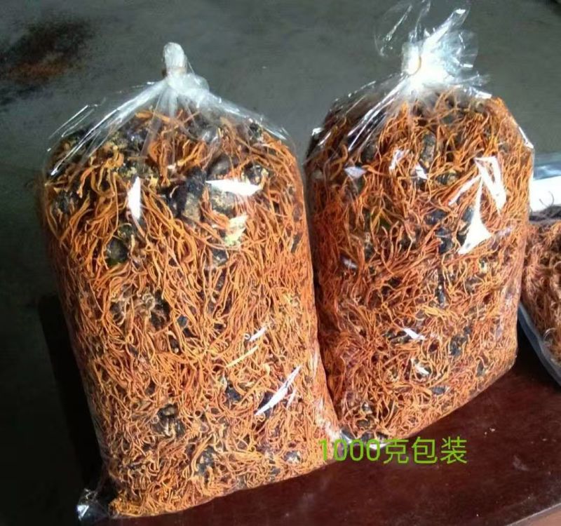 辽宁虫草大量有货无硫品质优可视频看货欢迎来电咨询