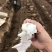 河南安阳麻山药产地直发货源充足品质好价格低规格齐全发全国