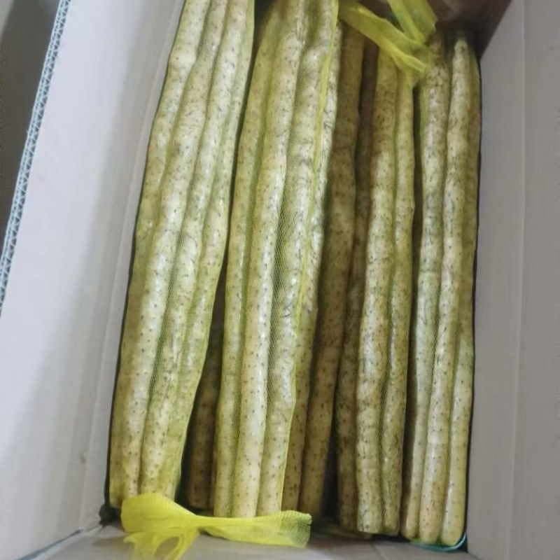 河南安阳小白嘴山药产地直供条形好品质佳好货一手货源走市场