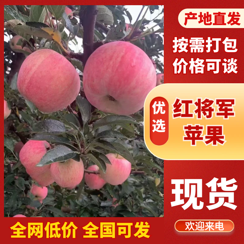 【热卖】山东红富士苹果产地一手货源保质保量代发全国