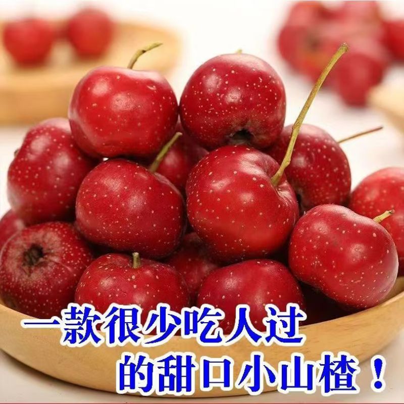 甜红子山楂山东山楂万亩基地直发，规格齐全对接电商市场批发