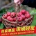 甜红子山楂山东山楂万亩基地直发，规格齐全对接电商市场批发