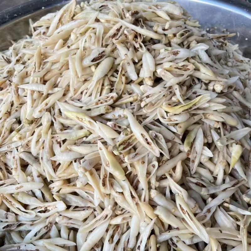 白辣椒晒白辣椒，当季现货新鲜美味，产地直发量大从优！