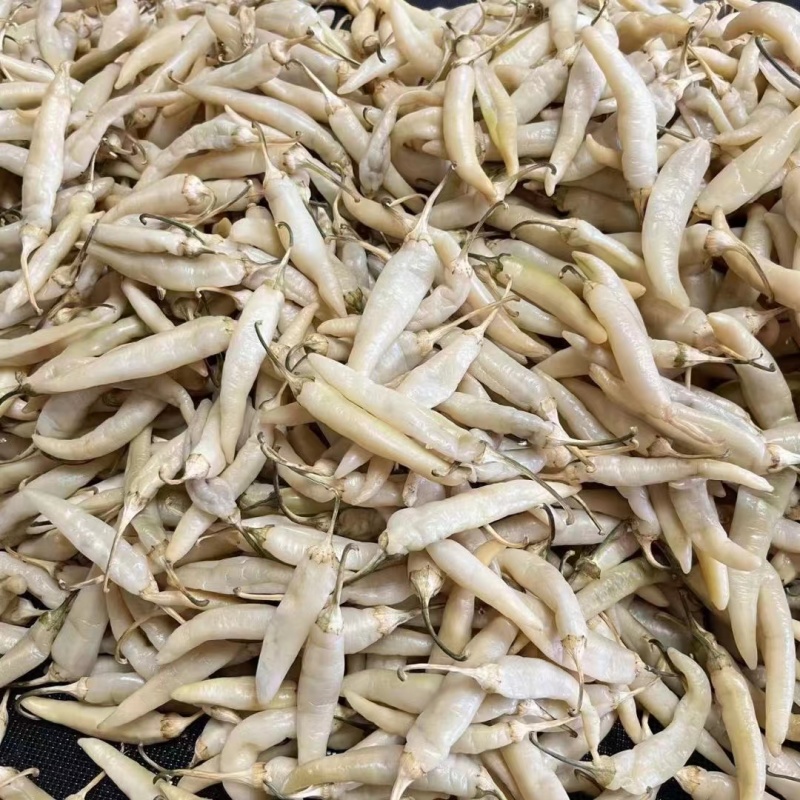 白辣椒晒白辣椒，当季现货新鲜美味，产地直发量大从优！