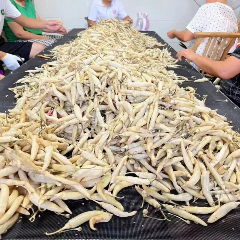 白辣椒晒白辣椒，当季现货新鲜美味，产地直发量大从优！