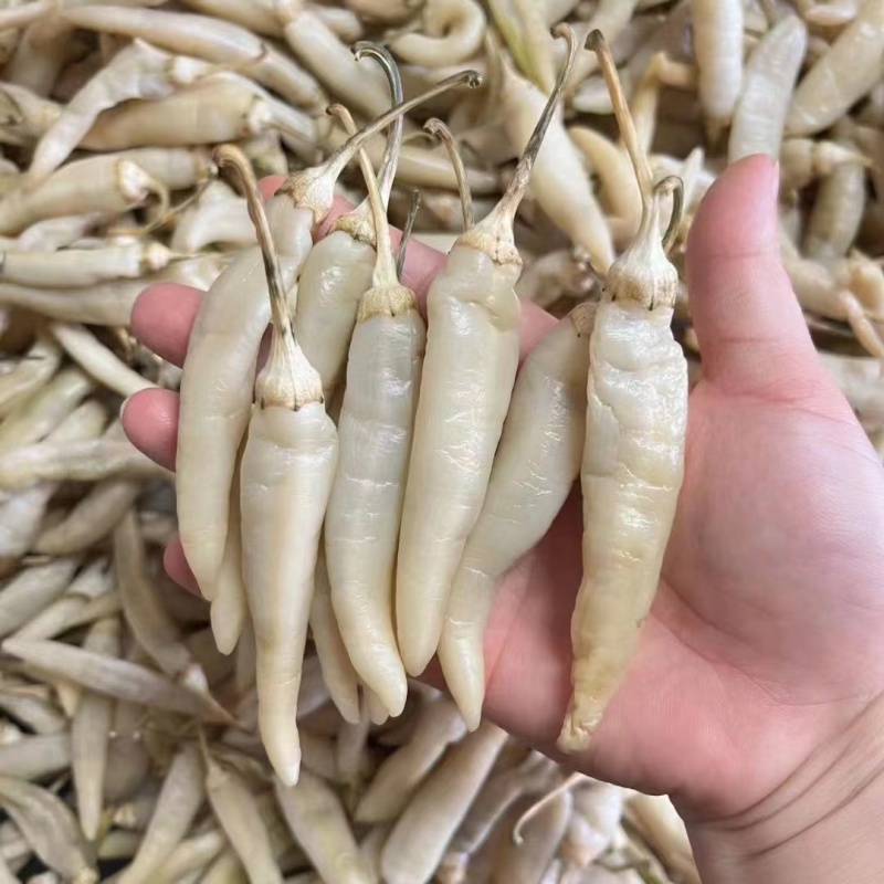 白辣椒晒白辣椒，当季现货新鲜美味，产地直发量大从优！