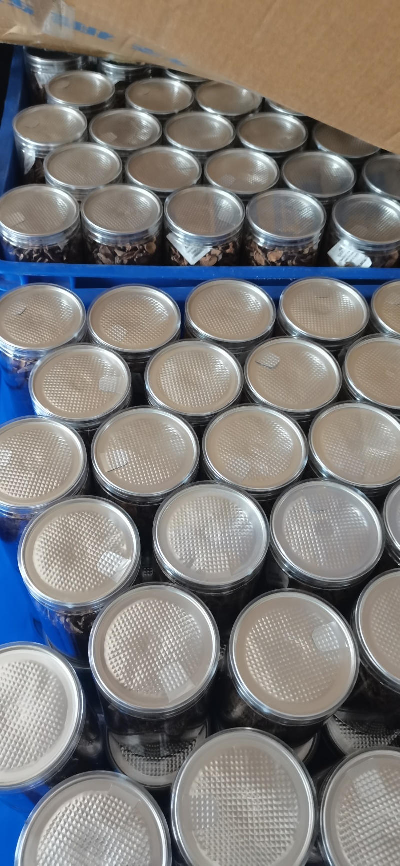 胰岛果茶保质保量供货价钱实惠常年供应