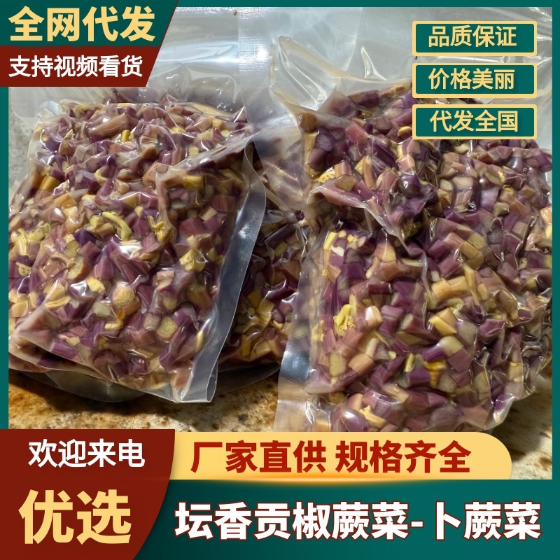 卜蕨菜坛香贡椒蕨菜，新鲜现货，产地直发品质保证，量大从优