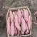 河北榴莲蜜薯软糯香甜货量大沙地种植表皮干净承接电商代发