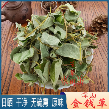 广金钱草中药材中草药原料批发
