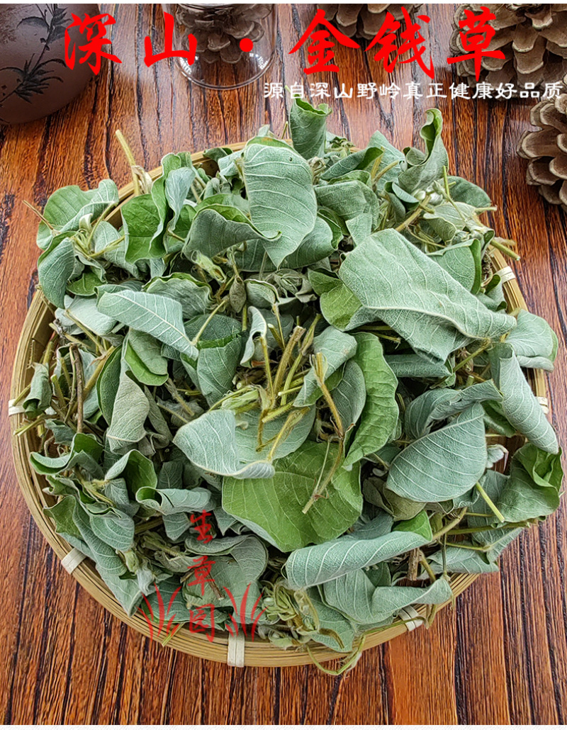 广金钱草中药材中草药原料批发
