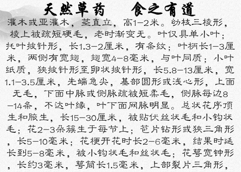 葫芦茶葫芦茶根中药材中草药原料批发葫芦茶