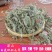 白花地胆头草中药材中草药原料批发白花地胆头草