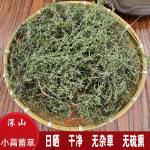 习见蓼猪牙草中药材中草药原料批发小萹蓄草