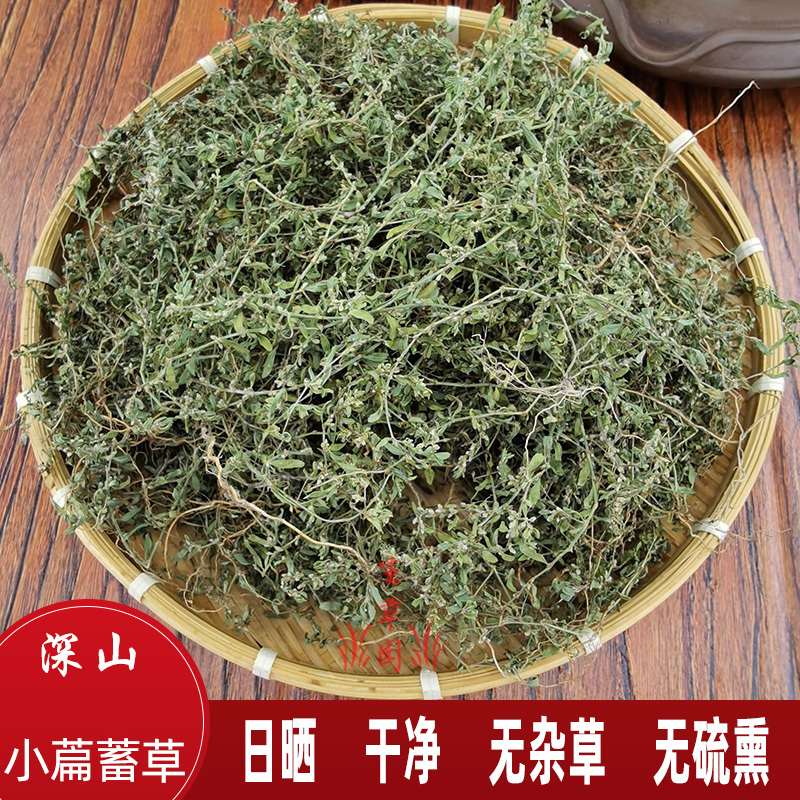 习见蓼猪牙草中药材中草药原料批发小萹蓄草