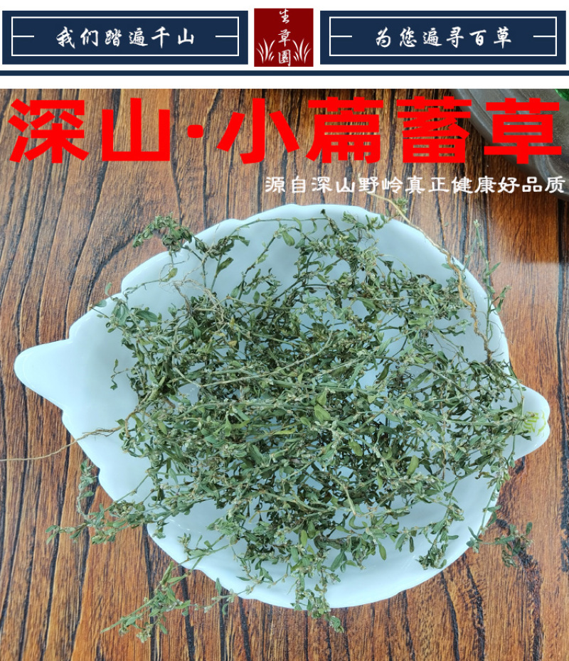 习见蓼猪牙草中药材中草药原料批发小萹蓄草