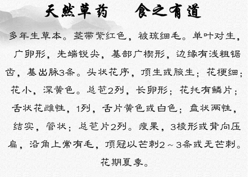 天文草金纽扣拟千日菊中药材中草药原料批发