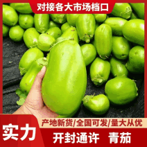 开封青茄果形端正货量大青皮青把现摘现发好硬度耐储存耐运输