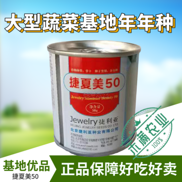 夏秋专用50天早熟耐热花叶白萝卜种籽捷夏50南方可种萝