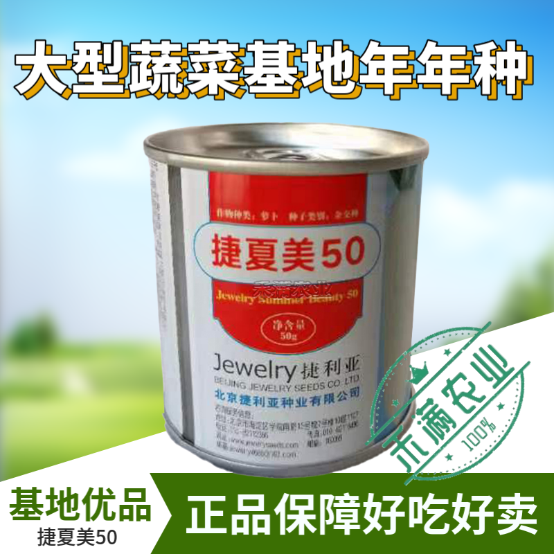 夏秋专用50天早熟耐热花叶白萝卜种籽捷夏50南方可种萝