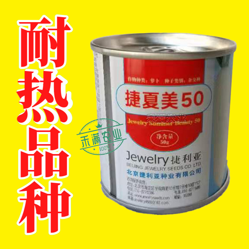 夏秋专用50天早熟耐热花叶白萝卜种籽捷夏50南方可种萝