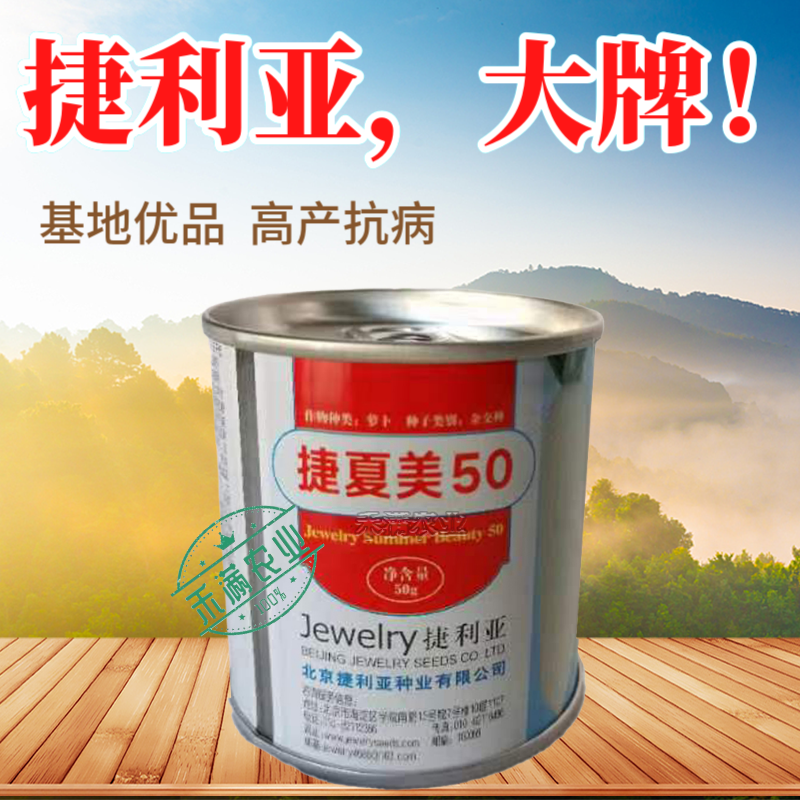 夏秋专用50天早熟耐热花叶白萝卜种籽捷夏50南方可种萝