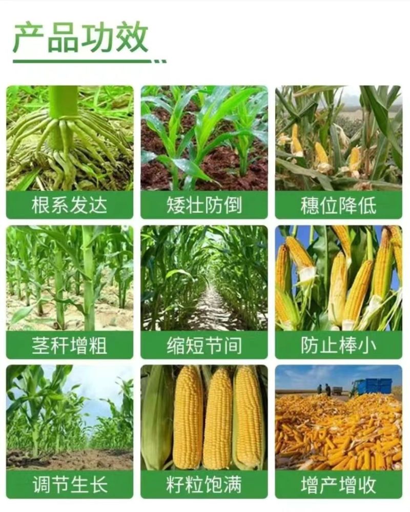 28表芸乙烯利玉米控旺专用生长调节剂矮化粗缩抗倒伏正品