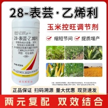 28表芸乙烯利玉米控旺专用生长调节剂矮化粗缩抗倒伏正品