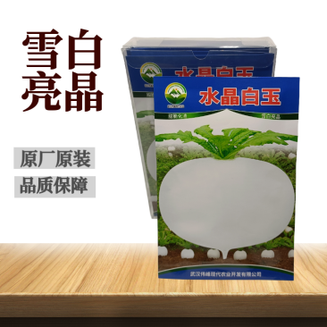 精选特级水晶圆萝卜种子春不老水果圆萝卜种籽高产秋季蔬菜甜