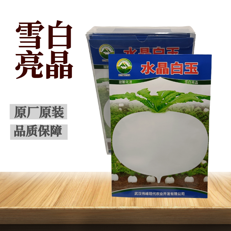精选特级水晶圆萝卜种子春不老水果圆萝卜种籽高产秋季蔬菜甜