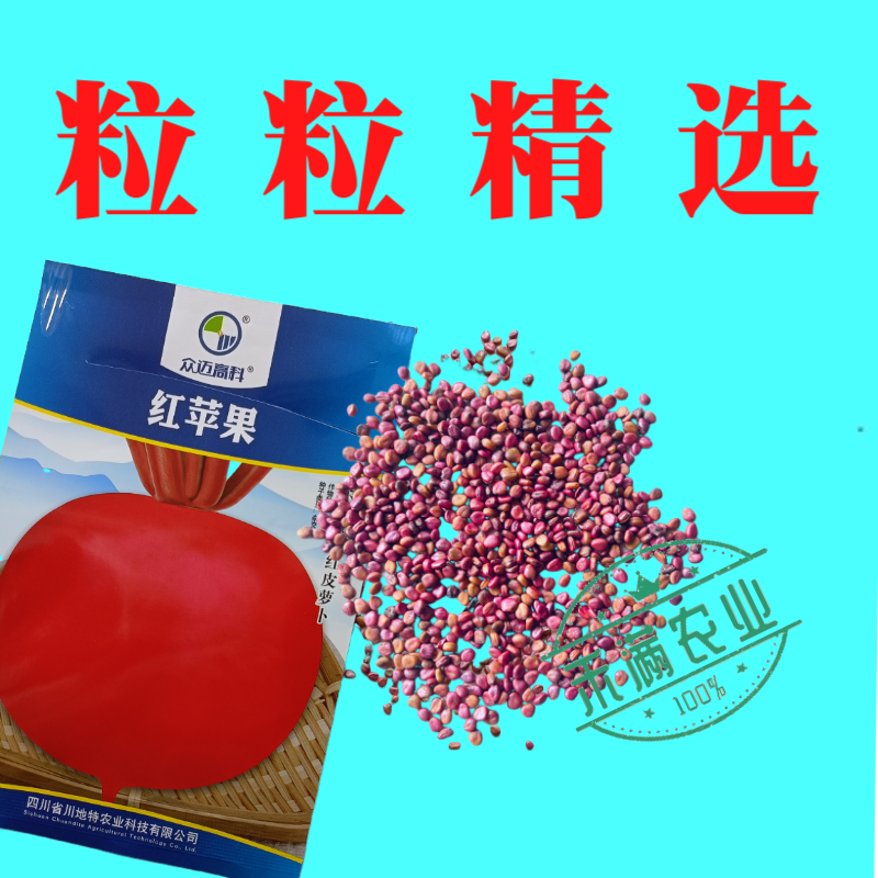 精选优质圆萝卜种子水果萝卜种籽红皮白肉秋季蔬菜种植大田种