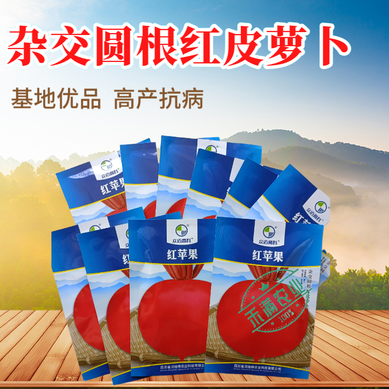 精选优质圆萝卜种子水果萝卜种籽红皮白肉秋季蔬菜种植大田种