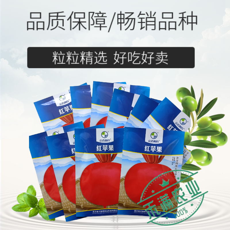 精选优质圆萝卜种子水果萝卜种籽红皮白肉秋季蔬菜种植大田种