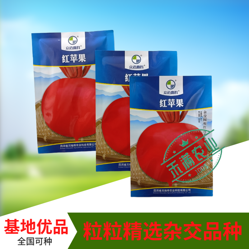 精选优质圆萝卜种子水果萝卜种籽红皮白肉秋季蔬菜种植大田种