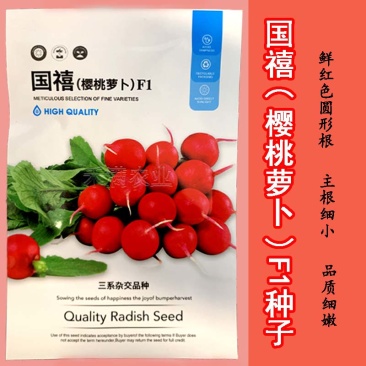 批发樱桃萝卜种子种籽菜籽水果籽种秋季春季阳台四季盆栽蔬菜